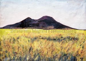 La pizza Campo di Grano sotto al Vesuvio - Stefano Renna fotografia e comunicazione blog
